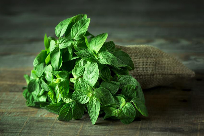 Pudina Paani : The Ideal Summer Cooler