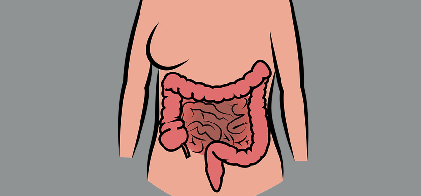 5 things you need to know about gut bacteria