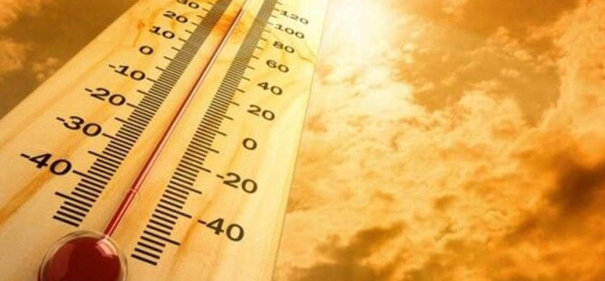 PROTECT YOURSELF FROM THE PERILS OF SUMMER