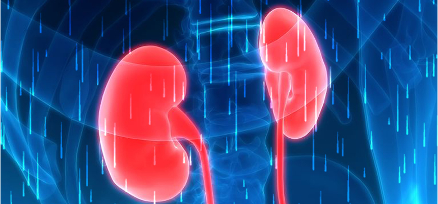 Why the Monsoons are Critical for Kidneys