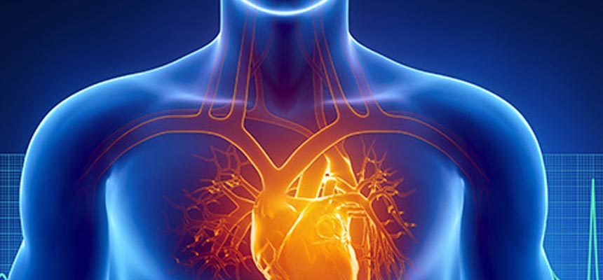 HEART IS SAFE WITH RICE BRAN OIL