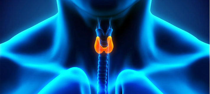 Doctors Locate Elusive Parathyroid Cyst, Save Patient's Life