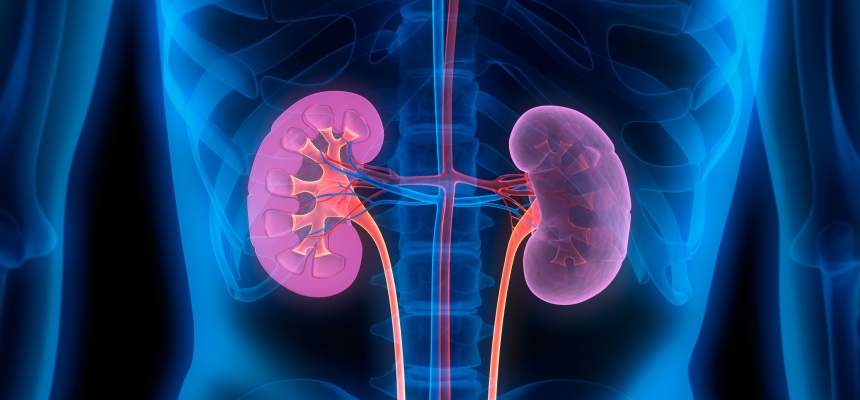Understanding the Risk of Diabetes behind Kidney Failure