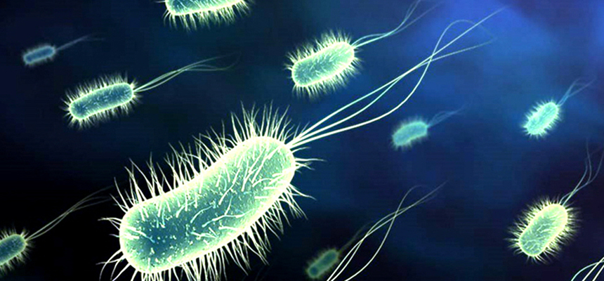 Pneumonia continues to be a threat for India