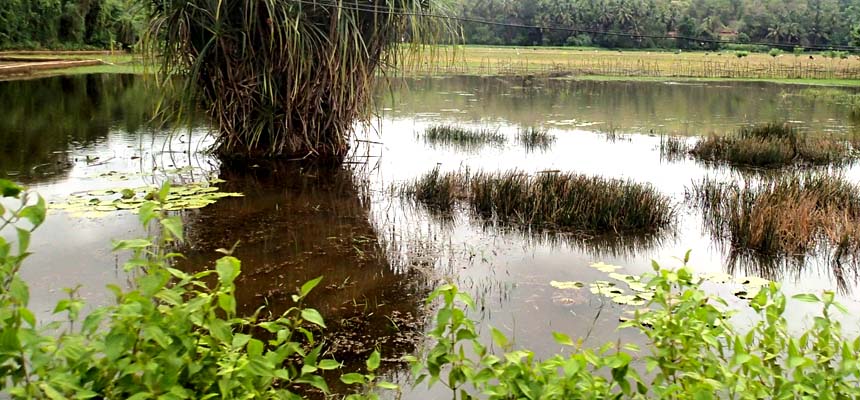 Dengue requires care & medical management