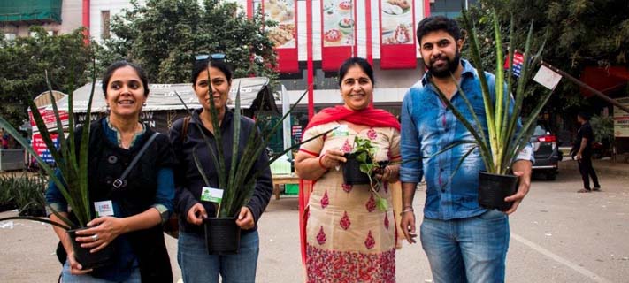 Air purifying plants distributed by SRL diagnostics 