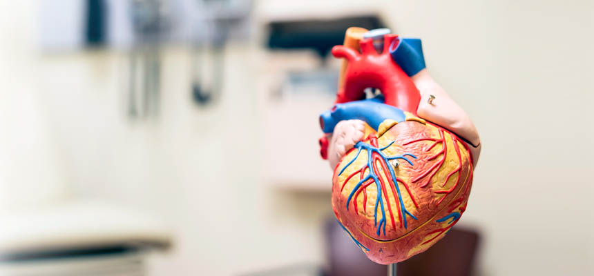 Cardiovascular and public health research in India