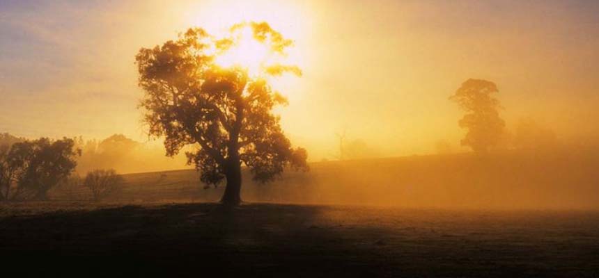 Why the Sunshine Vitamin is so Important