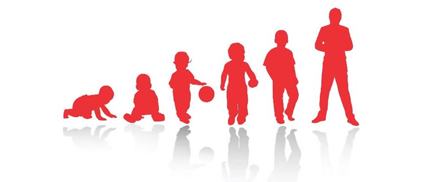 The new adolescence is 10 to 24 years