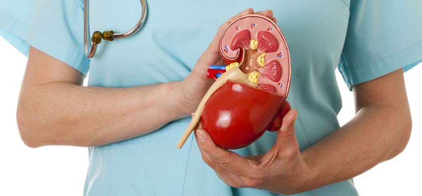Chronic Kidney Disease - health hazard for Women 