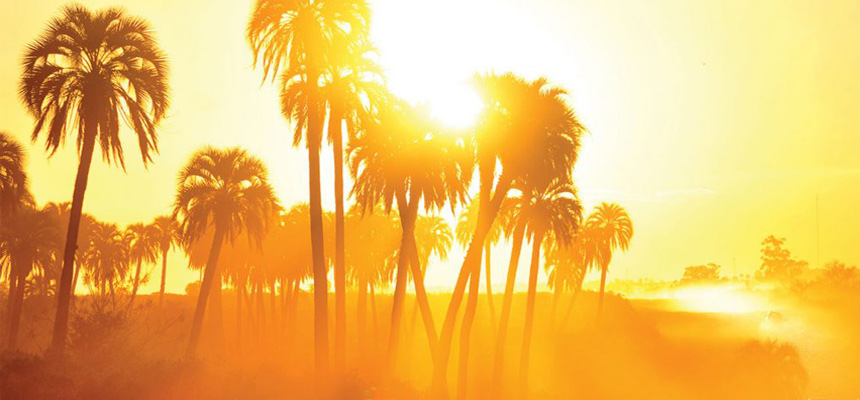 Summer Healthcare Tips For Heart Patients