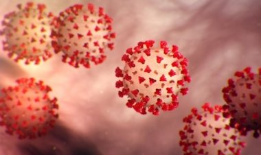 IS COVID 19 INFECTION A NEW RISK FACTOR FOR HEART ATTACKS