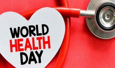 THE IMPACT OF POLLUTION ON HUMAN HEALTH AND HOW TO COUNTERACT ITS EFFECTS