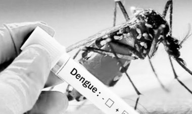 Understanding Dengue: Symptoms, Prevention, and Treatment