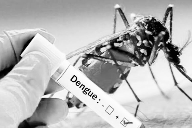 Understanding Dengue: Symptoms, Prevention, and Treatment