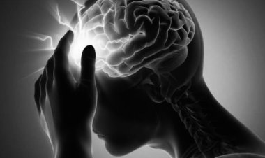 Seasonal Variations and Their Impact on Brain Stroke Risk