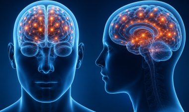 Stress Changes the Physiology of the Brain