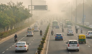 Smog and its hazardous effects