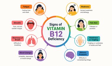 Fulfill The Need of Vitamin B12