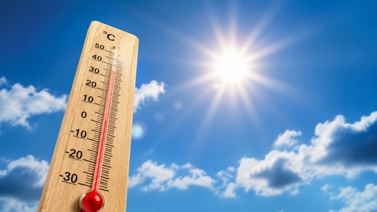 Get rid of Summer Health Problems