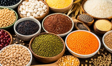Millets - present day nutrition solution