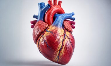 TAVR Is A New Lease of Life