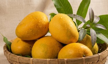 GET HEALTHIER THIS SUMMER WITH THE KING OF FRUIT