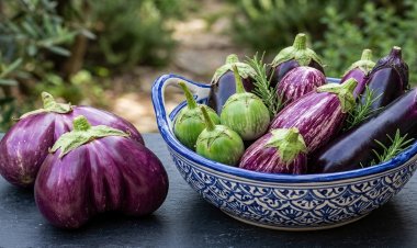 POWERFUL PROPERTIES OF THE HUMBLE BRINJAL