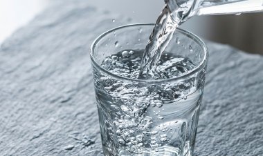 THE FINE ART OF STAYING HYDRATED