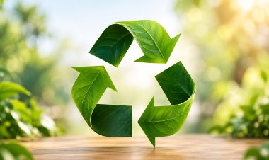 Autophagy - Your Body's  Inbuilt Recycling System