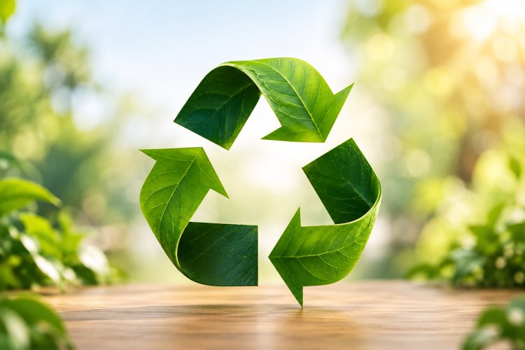 Autophagy - Your Body's  Inbuilt Recycling System