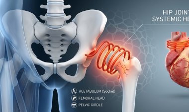 â€˜Stem Cell Therapyâ€™ for Arthritis in India